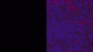 Kamera-Cover