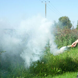 Mr. Smoke 1