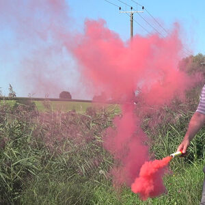 Mr. Smoke 1