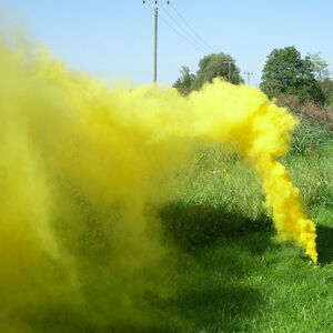 Mr. Smoke 2
