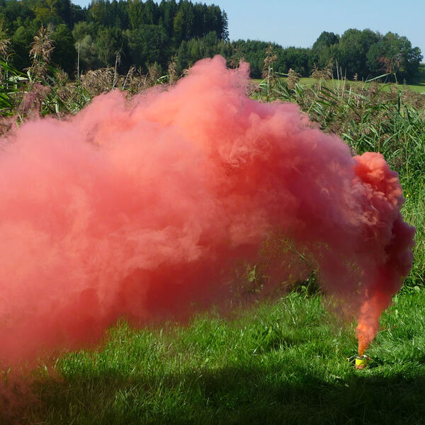 Mr. Smoke 2