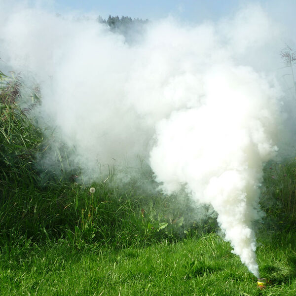 Mr. Smoke 3