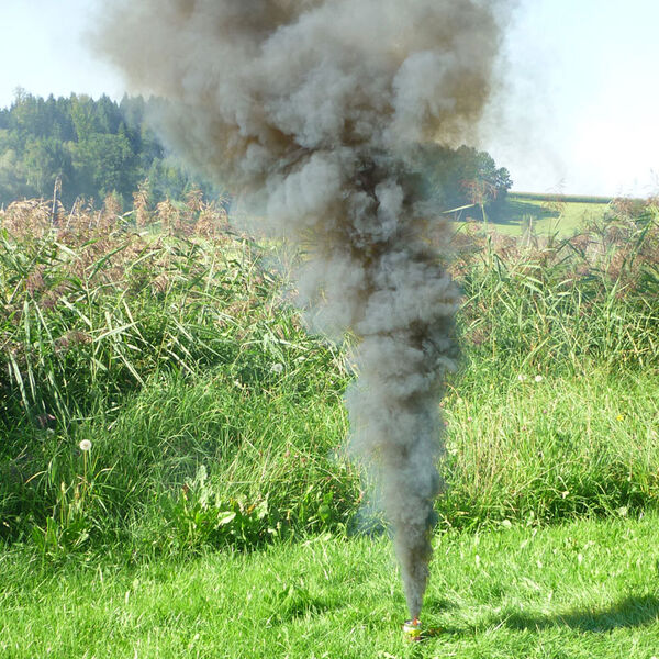 Mr. Smoke 3