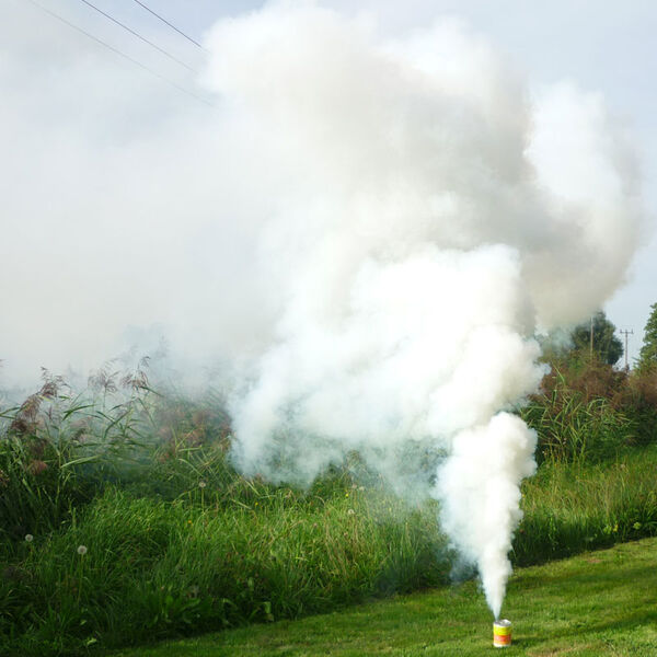 Mr. Smoke 4