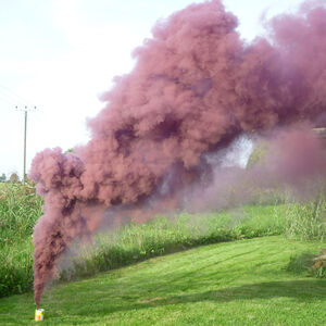 Mr. Smoke 4